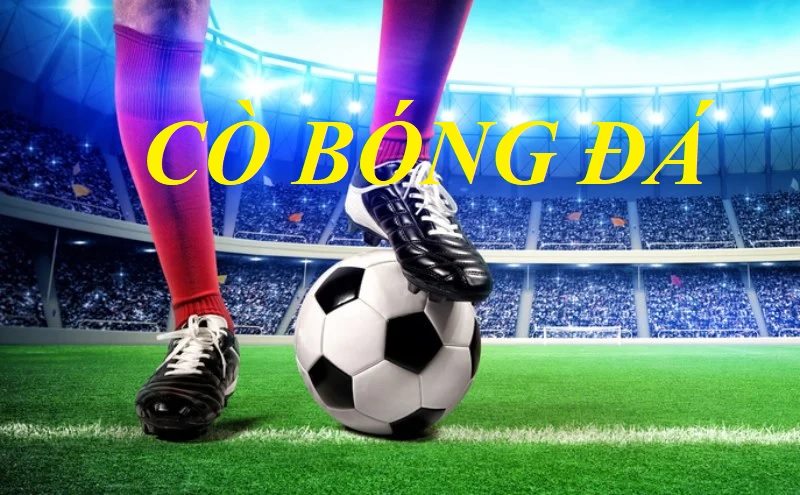 Cò bóng đá là thuật ngữ thường được sử dụng trong lĩnh vực cá cược