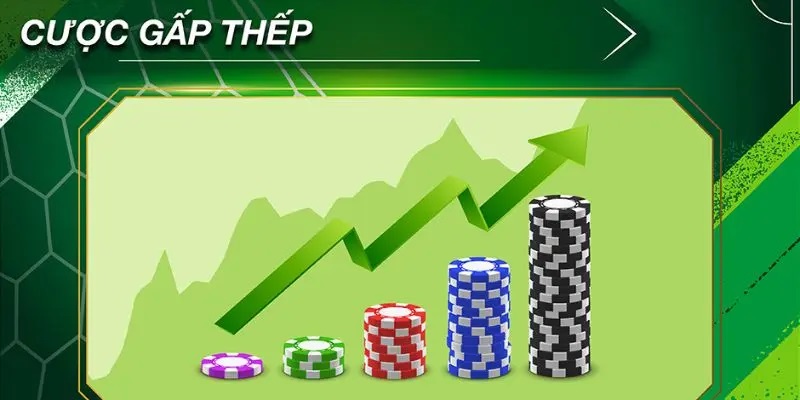 Cược gấp thếp mang theo rủi ro cực lớn hãy xác định một nguồn vốn an toàn