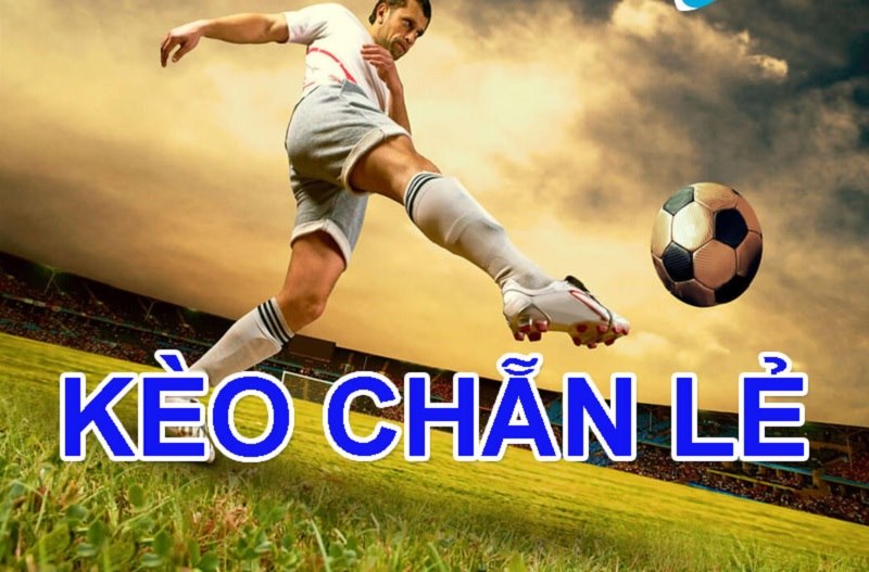 Bật mí bí quyết soi kèo dễ hốt bạc