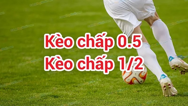 Kèo chấp 1/2 là loại cược cơ bản được đông đảo anh em yêu thích