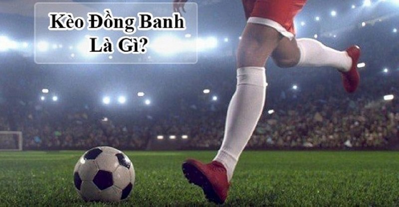 Nghiên cứu thông tin khi chơi kèo cược đồng banh