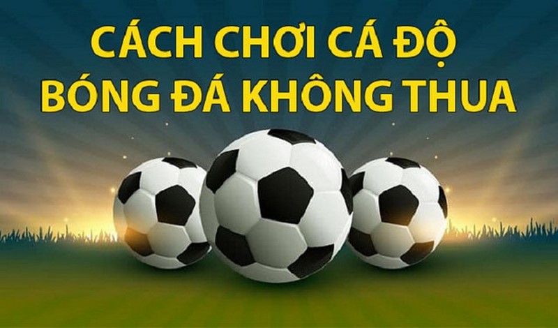 Mẹo chơi cá độ bóng đá hiệu quả dành cho tân binh