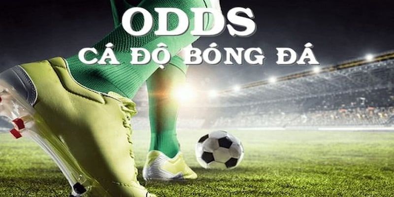 Giới thiệu tỉ lệ cược Odds là gì?