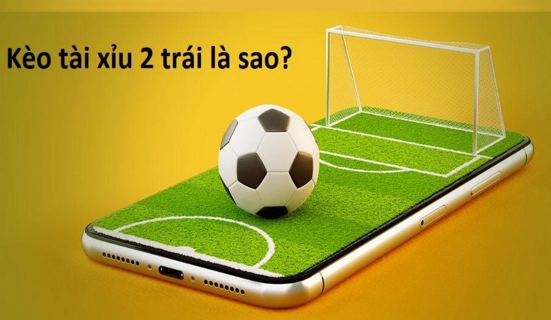 Giải đáp Tài xỉu 2 trái là sao giúp bet thủ chốt kèo dễ dàng hơn