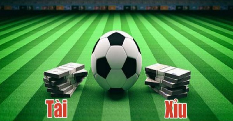 Lưu ý về Tài xỉu 2 trái là sao - Cân nhắc rủi ro trước khi vào tiền
