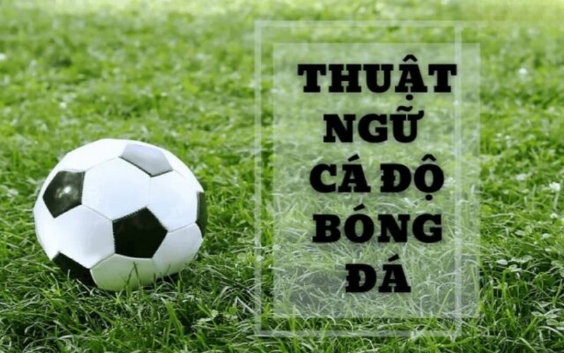 Việc ghi nhớ thuật ngữ cá độ bóng đá mang đến nhiều giá trị cho cược thủ