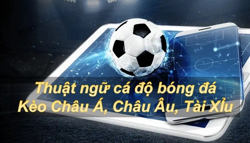 Thuật ngữ cá độ bóng đá phổ biến với kèo Châu Á, Tài Xỉu, Châu Âu